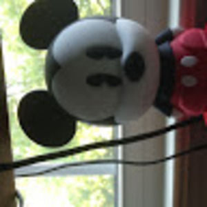 Meet your Posher, Collin